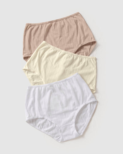 Womens Cotton Comfort Underwear Pocket Panties Stash Underpants Travel  Safety Briefs 2/3/5 Pack : : Clothing, Shoes & Accessories